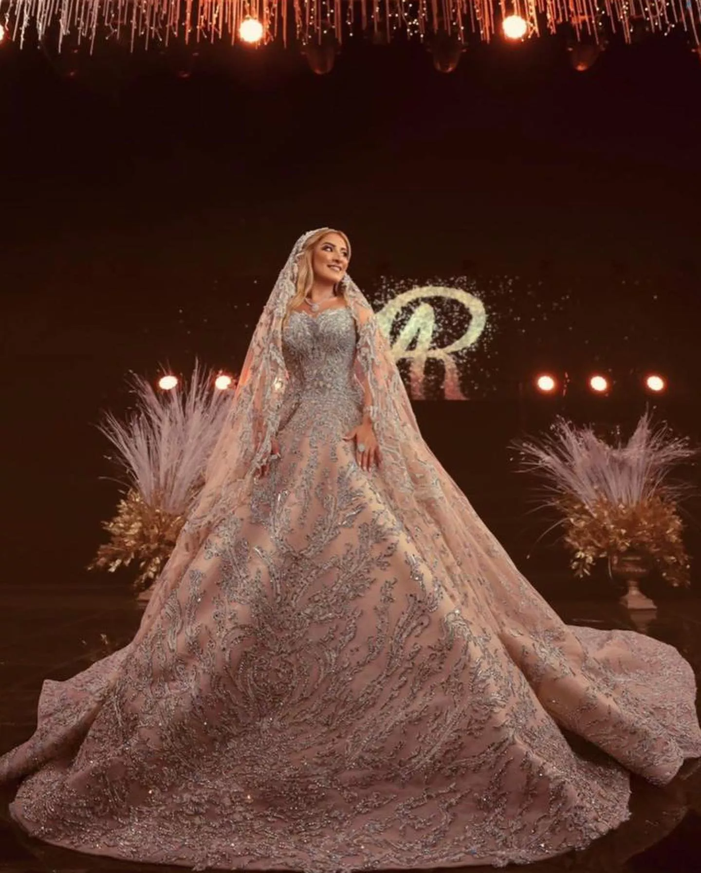 هاني البحيري